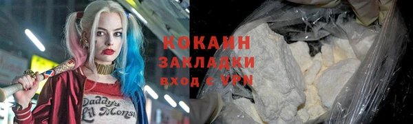 хмурый Лиски