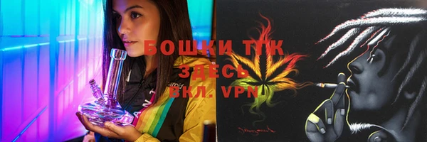 гидра Лихославль