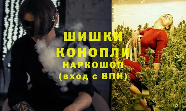 гидра Лихославль