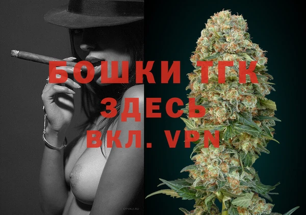 хмурый Лиски
