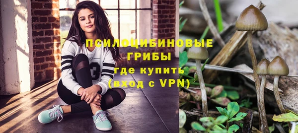 гидра Лихославль