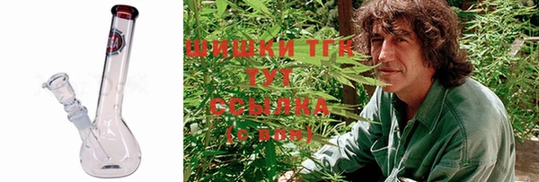 стаф Майский