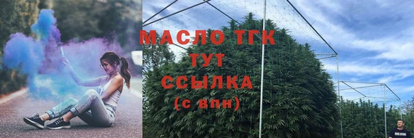 хмурый Лиски