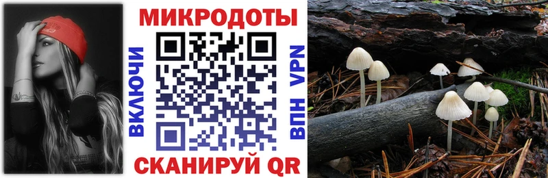 OMG как войти  что такое   Балаково  Псилоцибиновые грибы прущие грибы 
