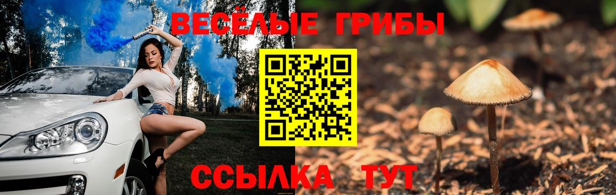 Псилоцибиновые грибы мицелий  Балаково 