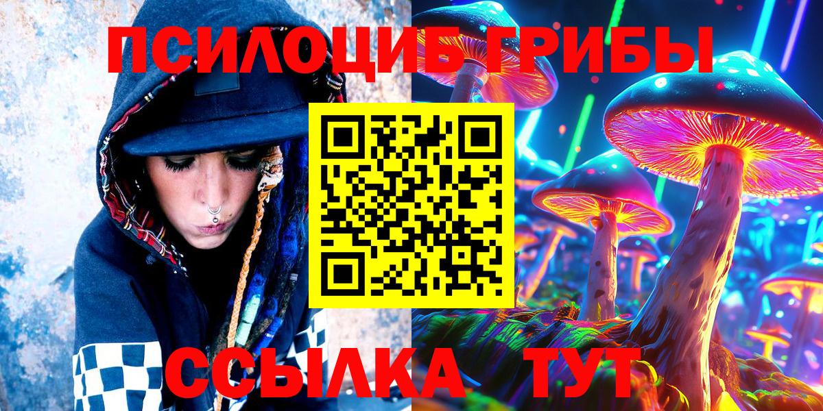 Псилоцибиновые грибы Cubensis Балаково