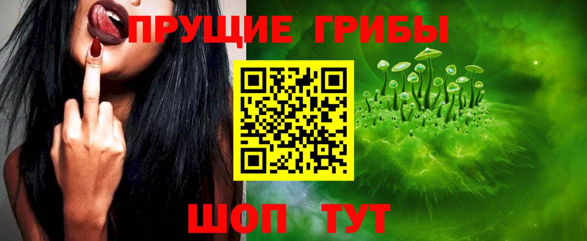 Балаково  Псилоцибиновые грибы прущие грибы  Вход с VPN  Галлюциногенные грибы MAGIC MUSHROOMS 