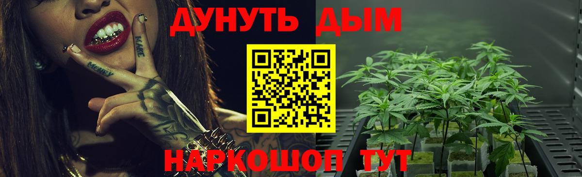 Балаково  Бошки марихуана план  Канабис THC 21%  Марихуана ГИДРОПОН  Бошки Шишки Amnesia  Вход с VPN 